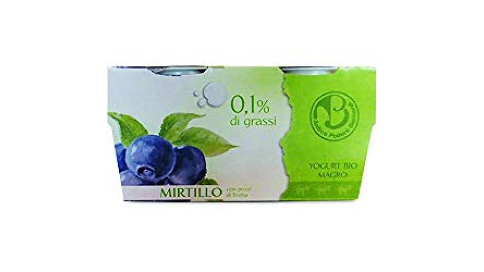 Yogurt magro al mirtillo Antico Podere Bernardi 2x125g
