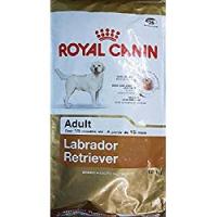 Royal Canin Alimento Cane Labrador