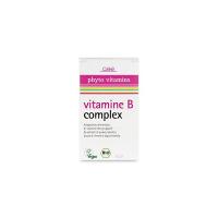 Integratore alimentare con estratti di guava e basilico Vitamine B Complex Gse