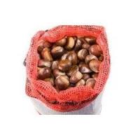CASTAGNE in rete