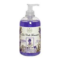 Nesti Dante Sapone Liquido Colli Fiorentini toscana Lavanda, 1er Pack (1 x 500 ml)