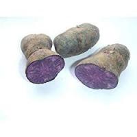 PATATE VITELLOTTE