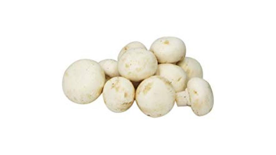 Funghi Champignon Bianchi Emilia-Romagna, 800-1000g