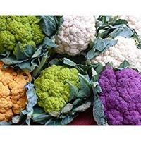CAVOLFIORI COLORATI MIX confezionati