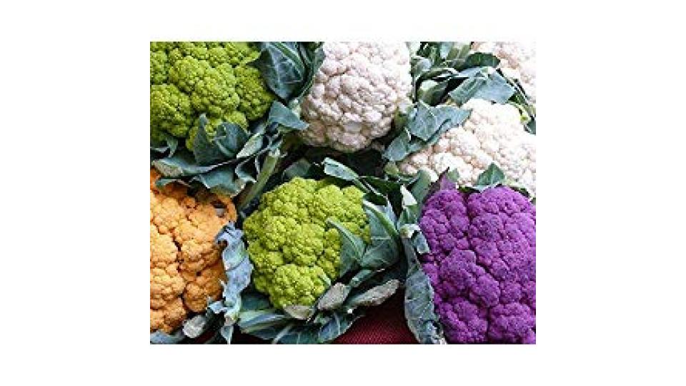 CAVOLFIORI COLORATI MIX confezionati