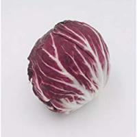 RADICCHIO CHIOGGIA IGP confezionato il Viaggiator Goloso