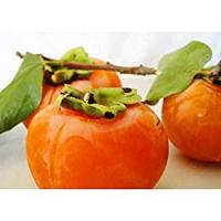 CACHI BIOLOGICI confezionati, 700-800g