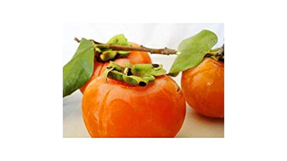 CACHI BIOLOGICI confezionati, 700-800g