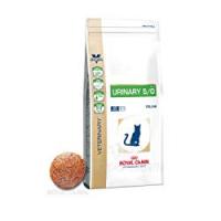 Royal Canin Cibo Secco per Gatti Cura Tratto Urinario