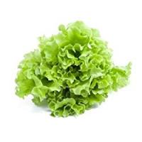 INSALATA GENTILE-CANASTA 300-600GR