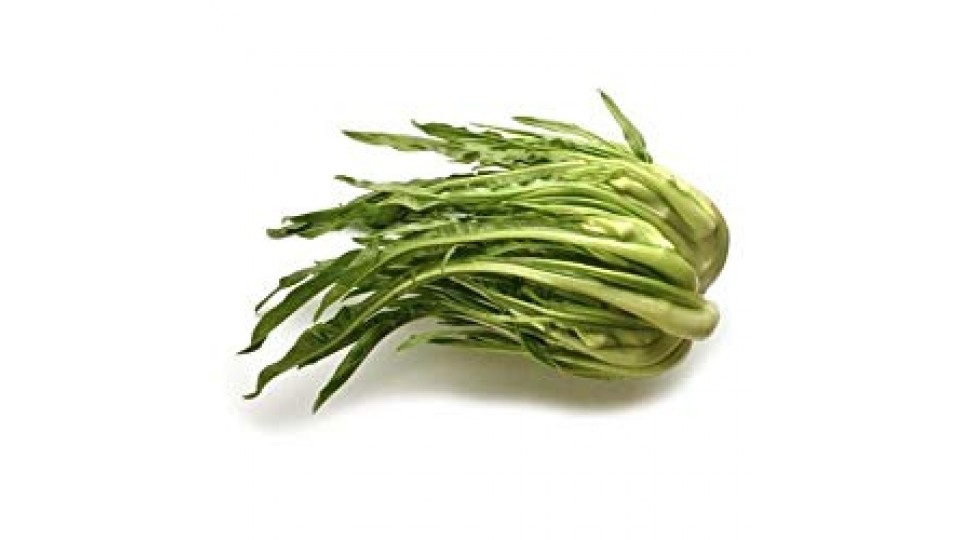 CUORE DI PUNTARELLE confezionate