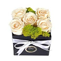 5 Rose Vere Stabilizzate Bianco Crema, Box 5 rose
