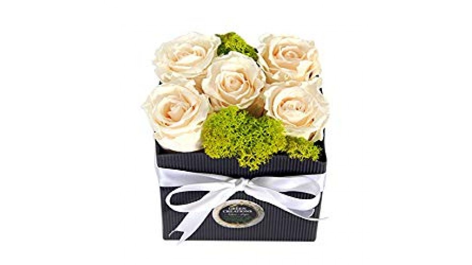 5 Rose Vere Stabilizzate Bianco Crema, Box 5 rose