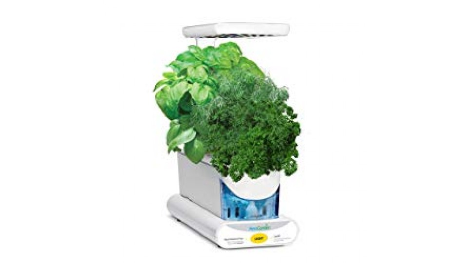 Miracle-Gro AeroGarden Sprout LED con Kit di semi per Erbe aromatiche, bianca