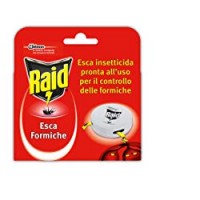 Raid Esca Formiche