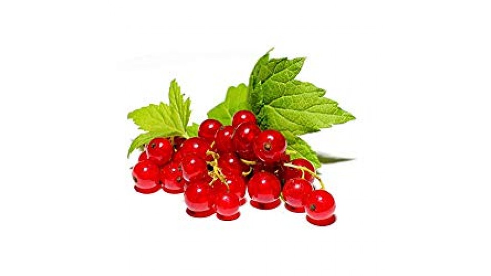 Peviani Ribes