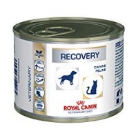 BOCCONCINI RECOVERY per Cani e Gatti Malnutriti Royal Canin
