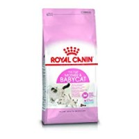 CROCCANTINI GATTI BABY CAT Mamme e Gattini Royal Canin