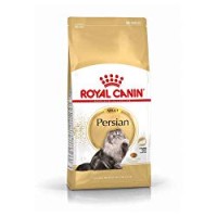 CROCCANTINI GATTI PERSIANI Royal Canin
