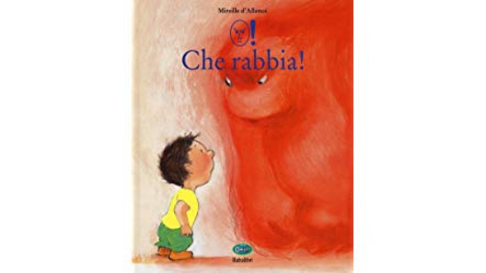 Che rabbia! Edizione illustrata con simboli WLS