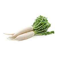 DAIKON 300-600GR