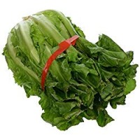 Indivia Scarola Puglia, 800-1000g