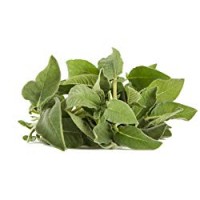 Peviani - Salvia