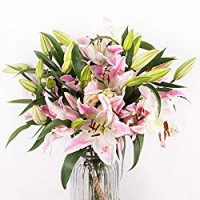 Fiori Freschi - Bouquet Premium Love