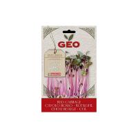 Semi di cavolo rosso da germogliare Geo