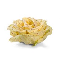 Peviani - Radicchio Variegato