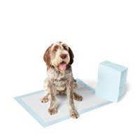 AmazonBasics - Tappetini assorbenti per animali domestici, extra-large