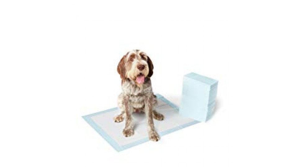AmazonBasics - Tappetini assorbenti per animali domestici, extra-large