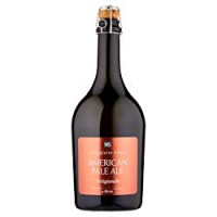 AMERICAN PALE ALE Birra Artigianale il Viaggiator Goloso