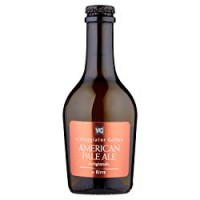 AMERICAN PALE ALE Birra Artigianale il Viaggiator Goloso