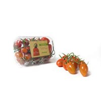 Peviani Sapore di Una Volta - Mini San Marzano
