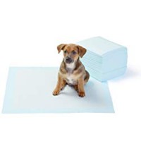 AmazonBasics - Tappetini igienici assorbenti per animali domestici, misura standard