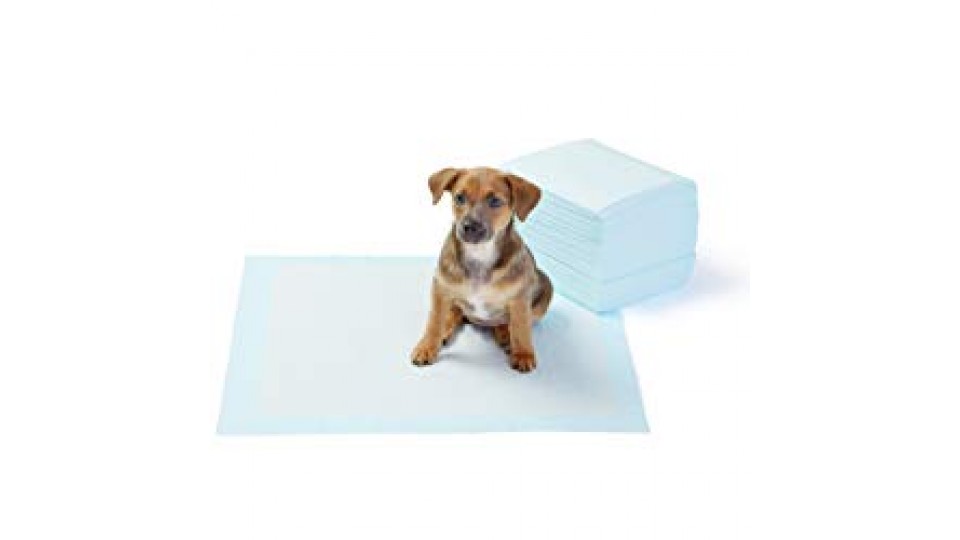 AmazonBasics - Tappetini igienici assorbenti per animali domestici, misura standard