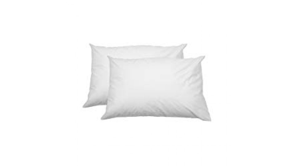 AmazonBasics - Federa copricuscino in 100% cotone morbido, con cerniera, 100% cotone, con cerniera, bianco