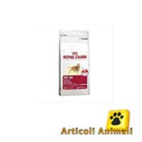 CROCCANTINI GATTO REGULAR FIT 32 Royal Canin