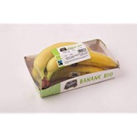 F.Lli Orsero Banane Bio e Fair Trade