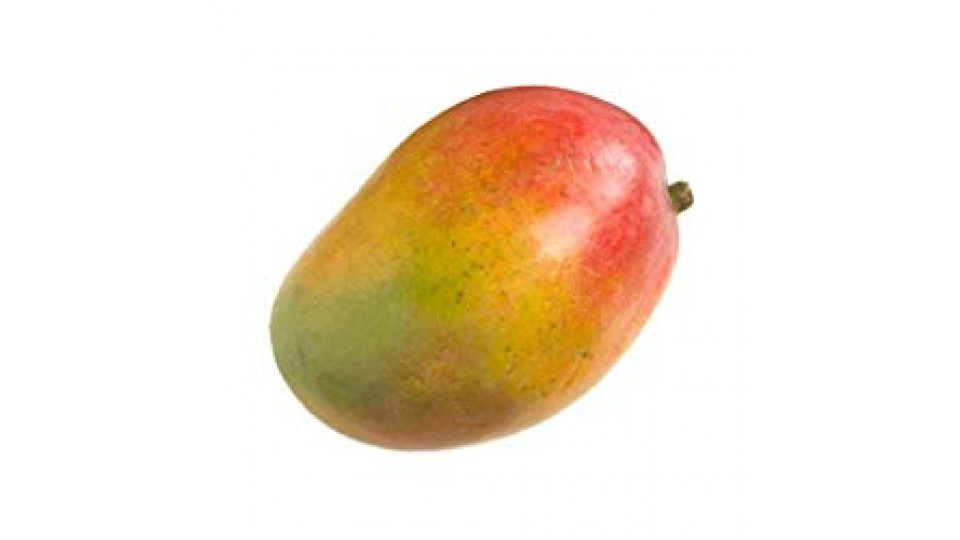 MANGO SELVATICO 600-1000GR