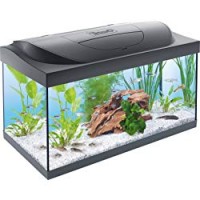 Lascure Delights Tetra Starter Line Tank LED Lt. 54 Acquari in Vetro, Multicolore, Unica