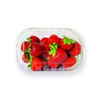 Fragole - Spreafico S.P.A