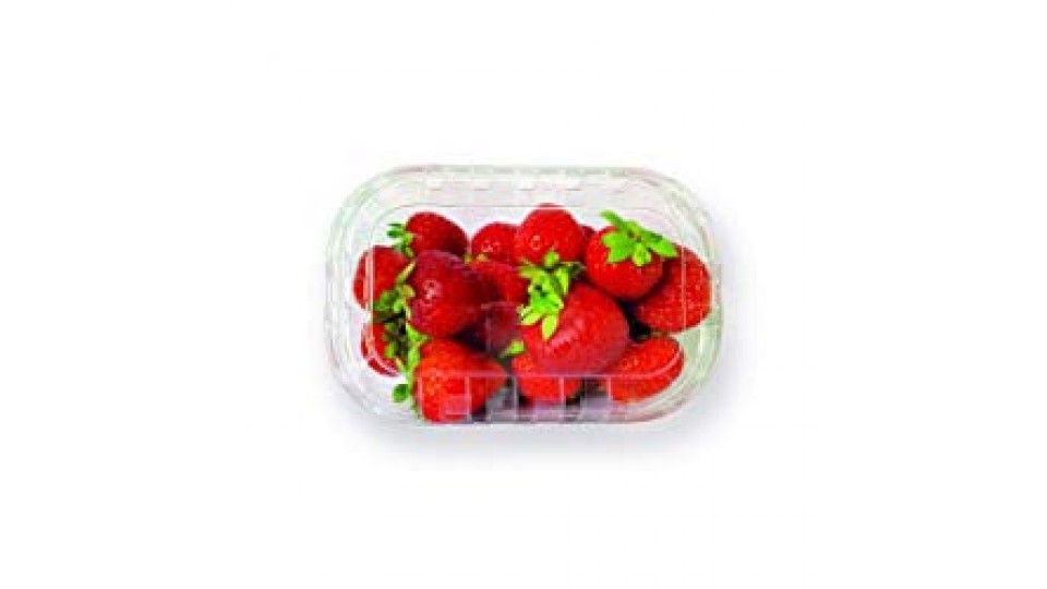 Fragole - Spreafico S.P.A