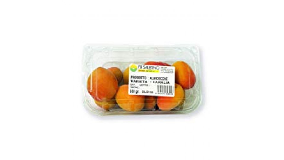 Albicocche - F.lli Salerno società agricola SRL