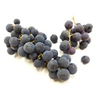 Peviani - Uva Fragola Americana