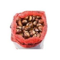 CASTAGNE IN RETE