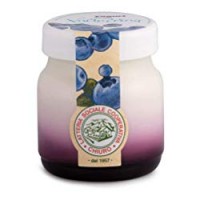 Latteria Chiuro - Yogurt Mirtillo