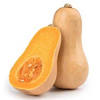 Zucca Bio