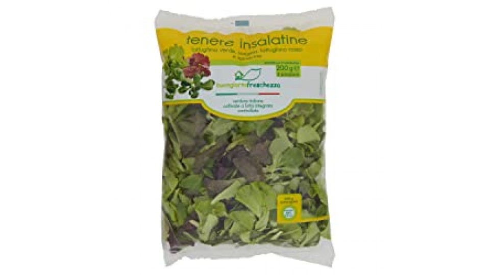 Buongiorno Freschezza - Insalata Tenera